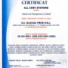 ISO 9001.jpg